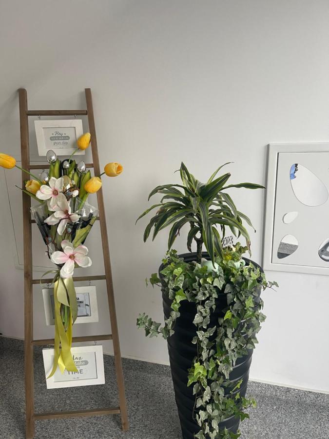 Am Apartments Тимишоара Екстериор снимка