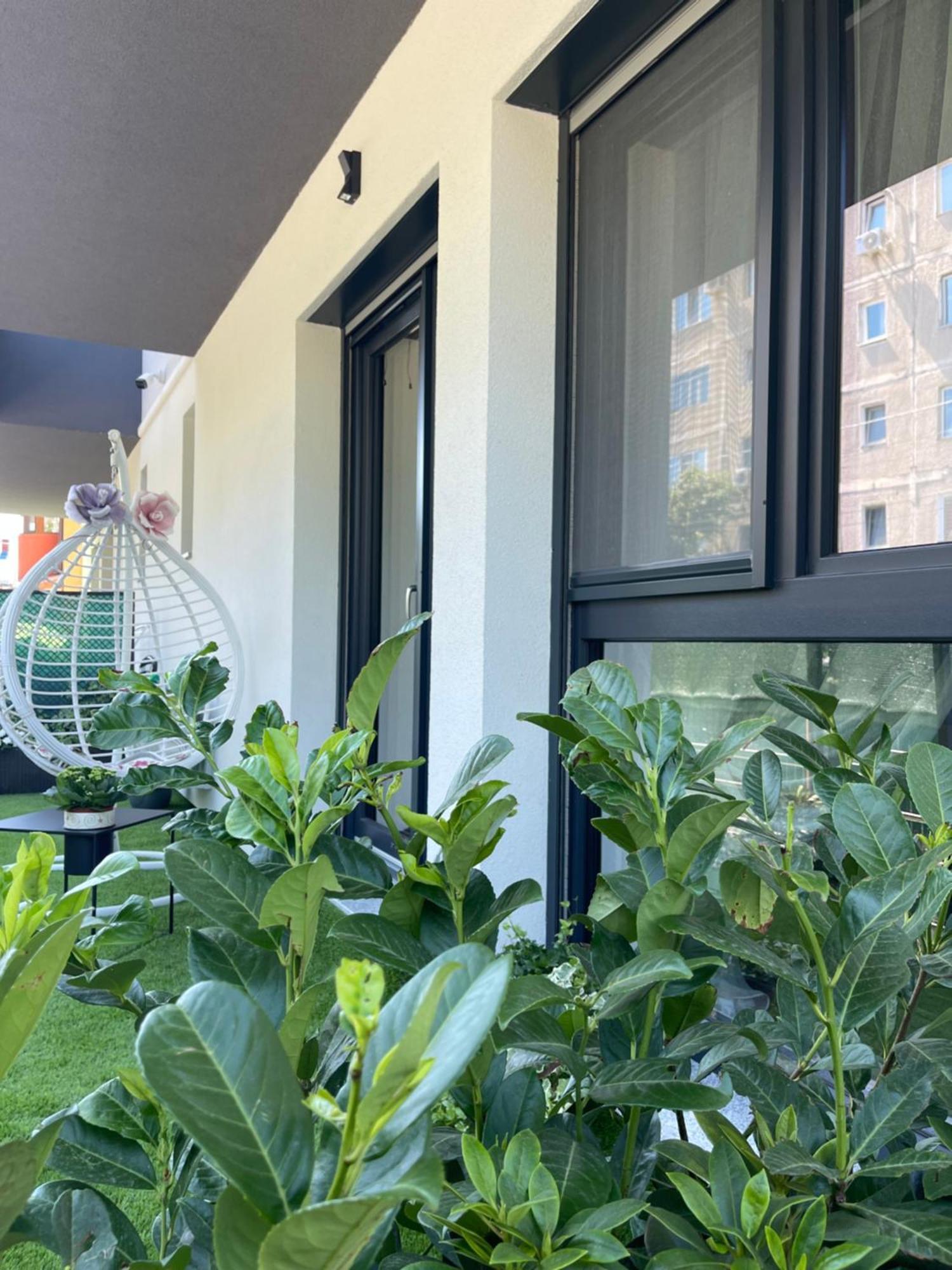 Am Apartments Тимишоара Екстериор снимка